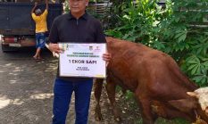 Idul Adha 1447 H, Bupati Tangerang Serahkan 1 ekor Sapi Untuk KWRI Kabupaten Tangerang