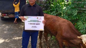 Idul Adha 1447 H, Bupati Tangerang Serahkan 1 ekor Sapi Untuk KWRI Kabupaten Tangerang