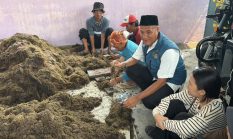 Pemkab Tangerang Gandeng BRIN Riset Peningkatan Produksi Padi Sawah di Mekar Jaya Sepatan